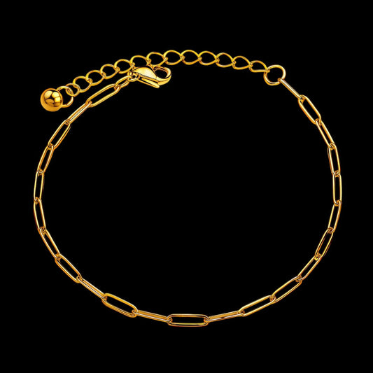 Chaîne de cheville Sahara