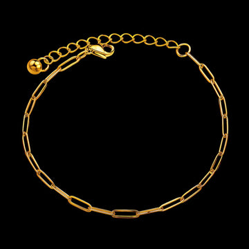 Chaîne de cheville Sahara
